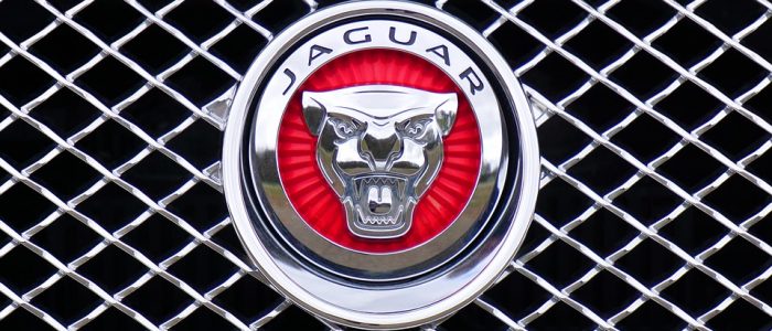 Jaguar Badge